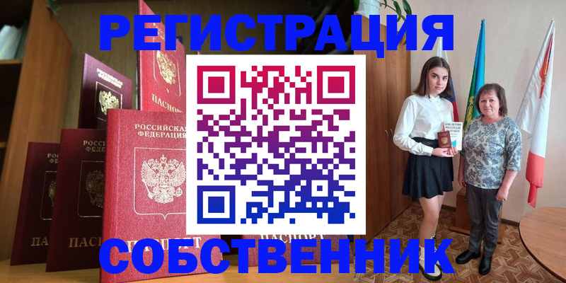 прописка гарантия в Апатитах